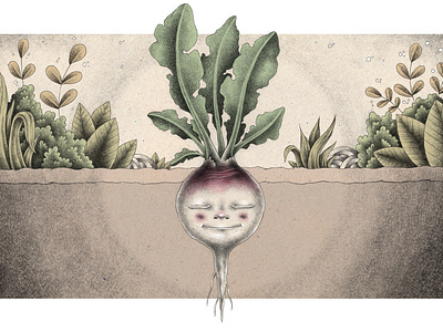 Turnip Character 2d animation character character design scene turnip
