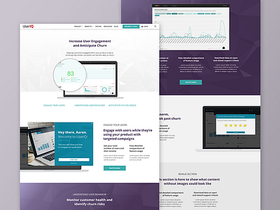 UserIQ Website Template marketing site sketch ux web design