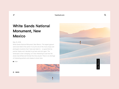 Taylorburk.Com design interface ui vector