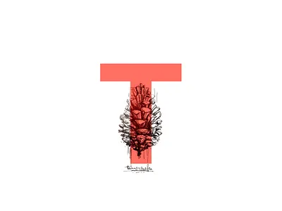 Tannenzapfen digital illustration letters sketch type