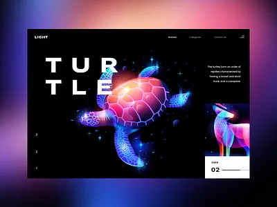 Animal lights: Turtle animal colorfull design light slider ui ui design ux ux design