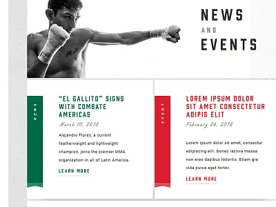 FighterGo Round 4 black clean contact fields form green halftone lines mexico mixed martial arts mma script texture ui white white space