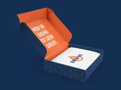 Hometown Co. Box box box design brand branding identity logo package packaging shipping shipping box