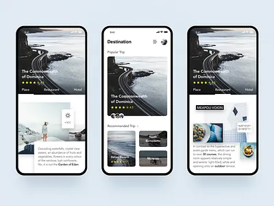 Travel Application app black blue card clean color design hotel interface mobile app photo restaurant scenery sights travel ui ui ux ux
