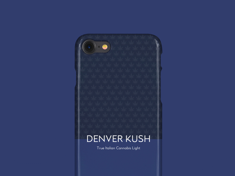 MSEVEN - Brand Identity animation branding coloful design graphic graphic design illustration interaction interface logo mobile pattern typography ui vector