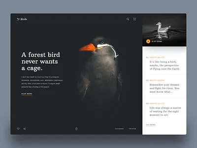 Birds Header Exploration agency bangladesh bird birds blog design blog header header design header exploration landing subash web website