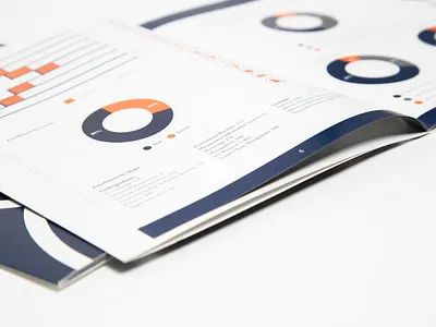 The Shareholder 2013-2014 annual report annualreport design graphic design info design info graph info graphic infographic design infographics layout layout design lovely print print design print layout report report design