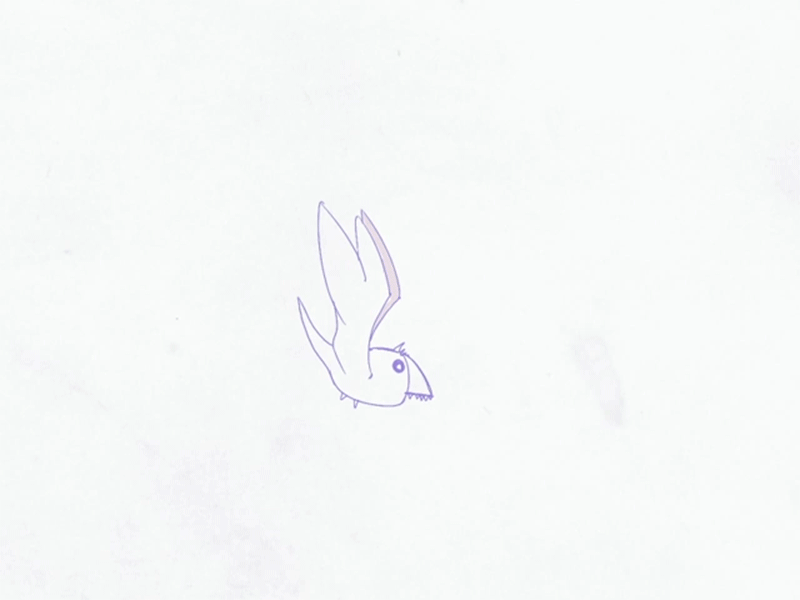 Mr.Chirp The Bird 2d 2d animation animation bird flying gif loop motion graphics