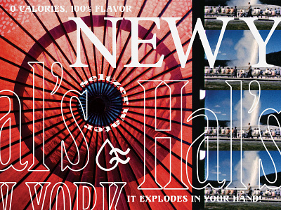 Hal's design study type typography