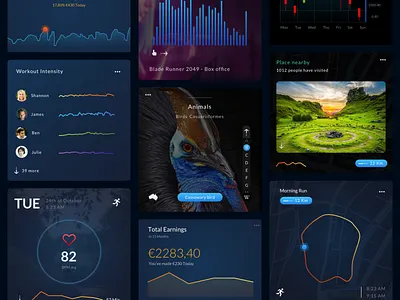 Data visualisation card concepts. cards dark dark mode metrics stats