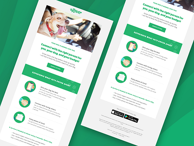 Email Design dailyui design dog email html interface ui visual visual design