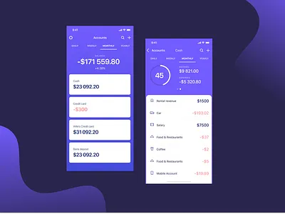 Budget app clean design interface ui ux