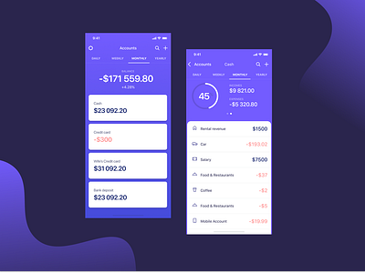 Budget app clean design interface ui ux