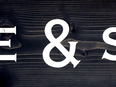 Dragonfly Antique & Salvage ampersand branding custom font handpainted serif font sign design signage typography visual identity wood wordmark