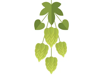 Hops beer craftbeer flat hops illustration vector