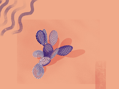 purple prickly pear cacti cactus illustration marfa purple