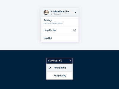 Pop-up / Pop-over / Dropdown. RetargetApp ads analytics automate ads dashboard data visualization datavis dropdown facebook ads graph interface metrics performance pop over pop up popover popup product design ui ux web app