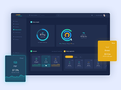 Lava Dashboard - Measurments dark darkui dasboard design fitnes fitness flat gym icon measurments sessions sport ui uidesign ux uxdesign web webapp webdesign