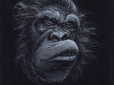 monkey s1 06 black paper colour pencil colour pencils design drunk gouache graphic illustration monkey realism tempera water color