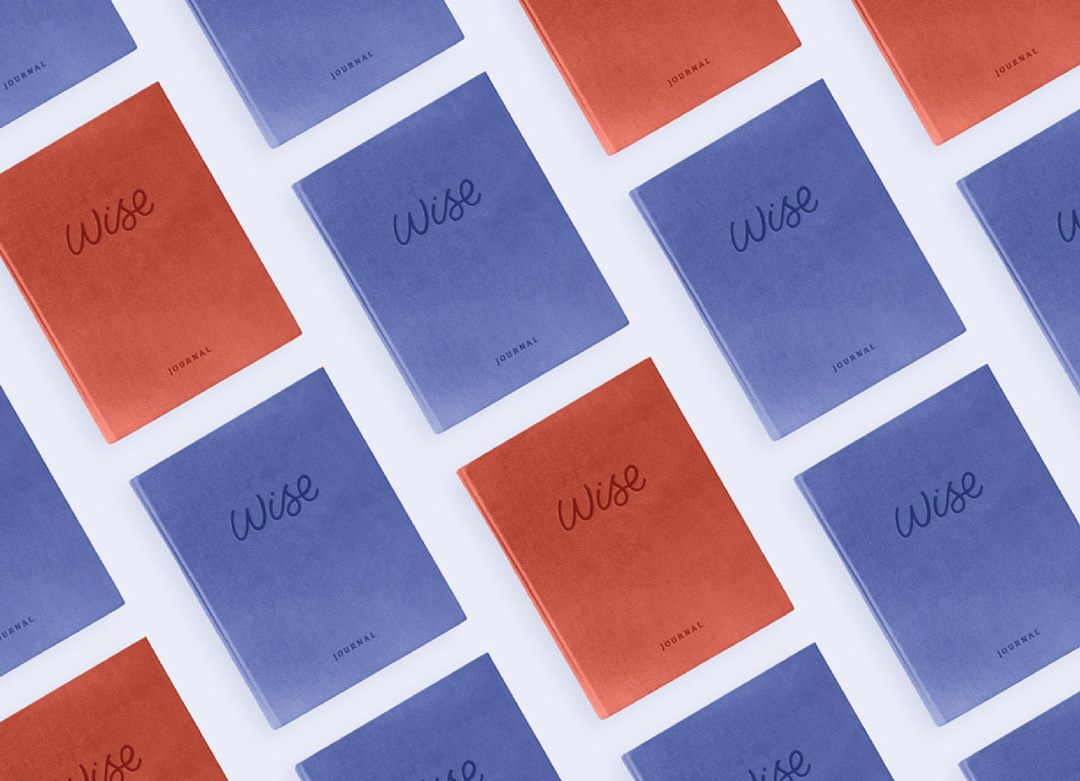 WISE brand branding design illustration typography