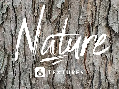 Texture Pack - Nature #2 bark brown dirt field forest grass green hay nature outdoor plant texture tree
