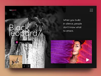 Panther attack black danger design graphic jungle panther ui uiux ux web page website