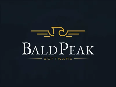 Line Art Style Eagle Logo for Bald Peak Software abstract bald peak brand branding business clean design eagle flat icon identity illustration line art logo logo design minimal simple software software development vector
