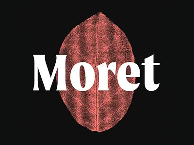 Moret - Type Family branding branding design display display font display type display typeface headline font serif serif font the northern block type type design typeface typeface design