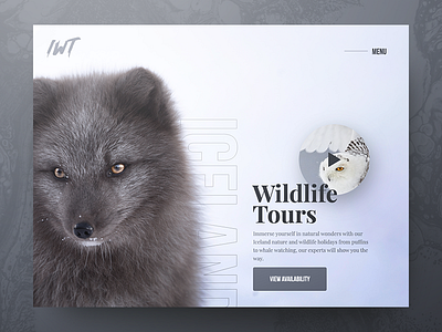 Derp 30 day challenge agency animation california design interaction photography ui ux web web design