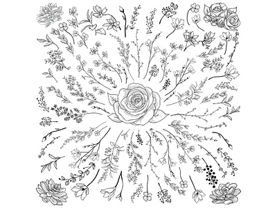 Vectorstock 13831778 bloom botanical floral art flower garden hand hand draw hand drawn illustration ink leaf rose stem tattoo vector vectorstock vintage wedding