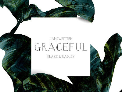 Blaze & Radley Font display font elegant font grace graceful handwritten leaves typeface typography