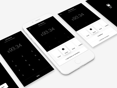 Expns App WIP expense finance interface ios mobile money ui wip working progress