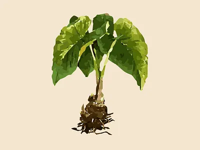 Taro brand branding clean clothing clothing brand color design flat icon illustration image logo minimal nature plant poly polygonal simple vector