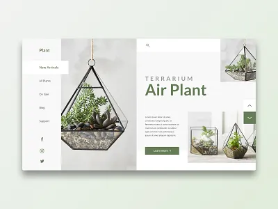 Plant concept design elegant flat hero page plant terrarium ui ux web web design website