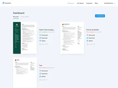 Resume Builder interface product design ui ux web website