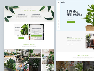 Ocolus Plant - Multi Purposes Woocommerce Theme creative design decor design ecommerce hero area market minimal multipurpose plant pot slider theme design theme for wordpress theme forest tree typography ui ux wordpress wordpress design