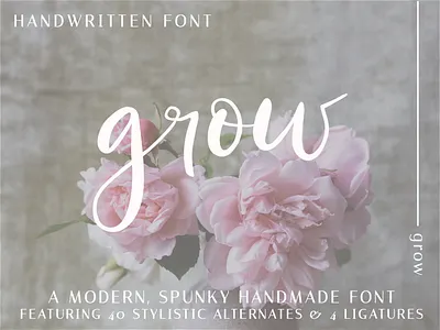Grow Script font design handlettering modern calligraphy script font