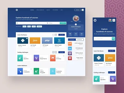 SoloLearn | Website Redesign concept course dashboard e learning learn online courses profile redesign sololearn student study