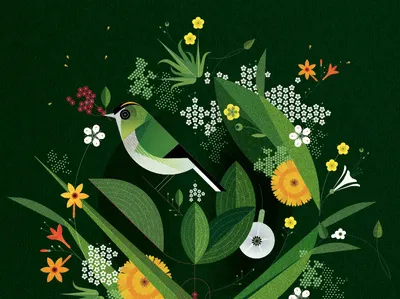 Goldcrest bird decorative digital floral folioart geometric graphic green illustration nature pattern plant sally caulwell
