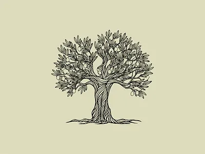 Olive Tree’s Gift illustration hand drawn illustration lineart lines nature olive tree vector woman