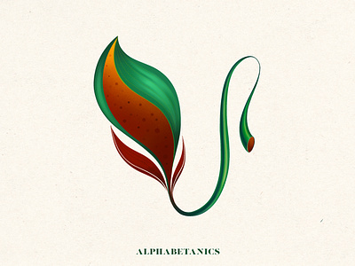 V for Alphabetanics 36 days of type 36daysoftype alphabetanics alphabetic botanics floral graphic design illustration leaf procreate type typography typography design