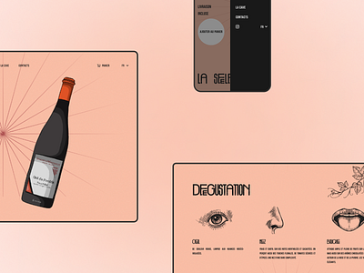 Enologia animation bottle branding case study design drink illustration logo ui ux vector webdesign wine