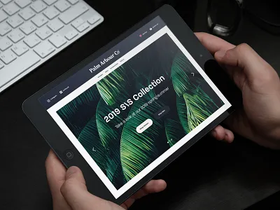 Palm Arbour Co. - Web UI apparel brand branding clothing dark design fashion logo palm palmtree swimwear travel tropical typography ui user experience user inteface ux uxui website design