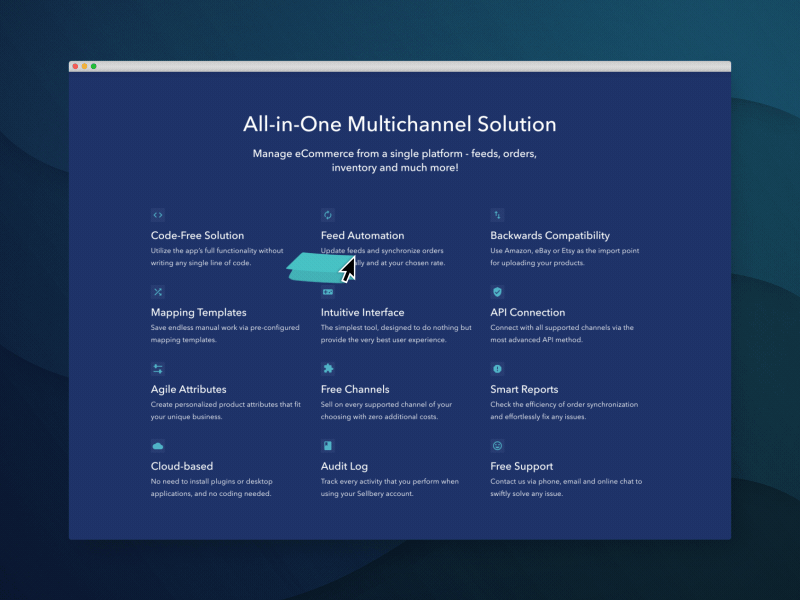 Sellbery - Features icons animation animation cursor ecommerce features flat gif icon mac outline stroke svg trace