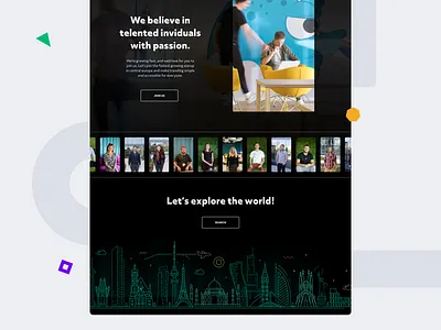 Fake landing page flight illustration kiwi landing page travel