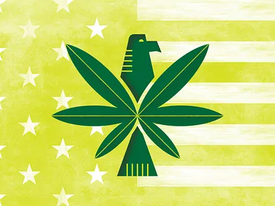 Marijuana in the U.S. america bird design eagle flag flat illustration marijuana plant pot print texture usa