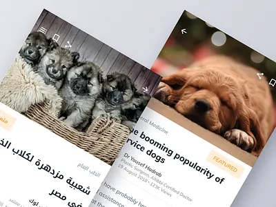 Arabic vs English in Design app arabic arabic font arabic type article clean design dog flat ios ltr page rtl ui ux