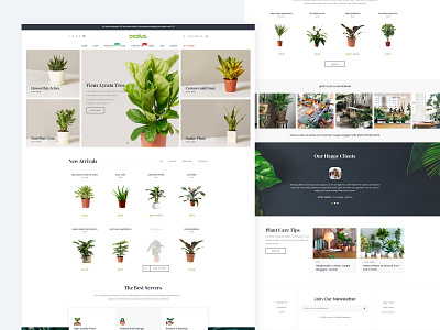 Ocolus Multi Purposes Woocommerce Theme creative creative design design ecommerce minimal multipurpose ocolus plant slider theme design theme for wordpress theme forest typography ui ux web design website wordpress wordpress design wordpress development