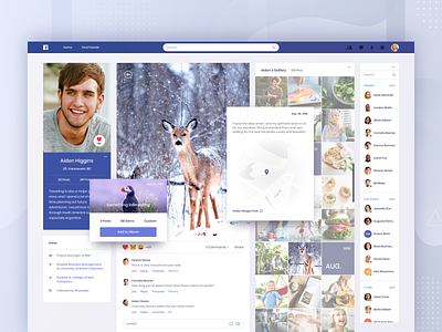 Facebook Concept - Gallery app clean comment contact facebook gallery image list map photo photo album picture profile review social ui web website