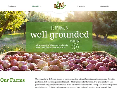 L&M Farm Homepage farm handwriten handwriting font illustration produce texture tractor type